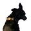 Bipartisan Report's avatar Bipartisan Report's avatar