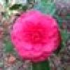 Donna Lovern's avatar Donna Lovern's avatar