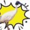 Lieutenant Bin Chicken's avatar Lieutenant Bin Chicken's avatar