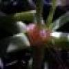 MoodyBrew's avatar MoodyBrew's avatar