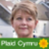 LeanneWood's avatar