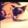 Ricky Gervais's avatar Ricky Gervais's avatar