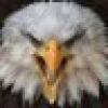 The Liberty Speaks's avatar The Liberty Speaks's avatar