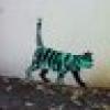 Kym Middleton's avatar Kym Middleton's avatar