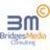 Bridges M Consulting's avatar