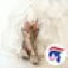 Mrs. Prim's avatar Mrs. Prim's avatar