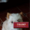 Do the RIGHT thing's avatar Do the RIGHT thing's avatar