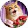 missk8's avatar missk8's avatar