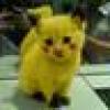 Roly Fentanes's avatar Roly Fentanes's avatar