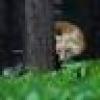 SaveUs's avatar SaveUs's avatar