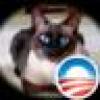 Picasso Kat's avatar Picasso Kat's avatar