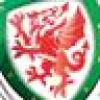 Wales's avatar