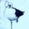 Travel True (Jason)'s avatar Travel True (Jason)'s avatar