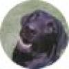 Gs's avatar Gs's avatar