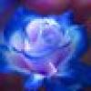 Darlene M Morris's avatar Darlene M Morris's avatar