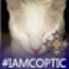 Heidegger's avatar Heidegger's avatar