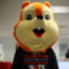 HRC Squirrel's avatar HRC Squirrel's avatar