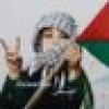 MurqusM فلسطين 🇵🇸 Palestine's avatar MurqusM فلسطين 🇵🇸 Palestine's avatar
