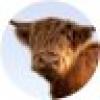 VisitScotland's avatar VisitScotland's avatar