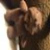 dawn h's avatar dawn h's avatar