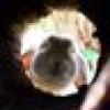 SnuggleBunnyQ ⭐️⭐️⭐️'s avatar SnuggleBunnyQ ⭐️⭐️⭐️'s avatar