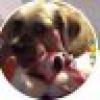 Lulu #BradNation πππ's avatar Lulu #BradNation πππ's avatar