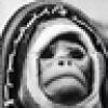 Capitan de Queso's avatar Capitan de Queso's avatar