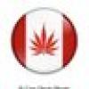 gmarie πΌππ #HC4ALL's avatar gmarie πΌππ #HC4ALL's avatar