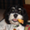 Pamela's avatar Pamela's avatar