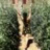 Kimberly Yam's avatar Kimberly Yam's avatar