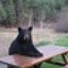 Grumpy Elder's avatar Grumpy Elder's avatar