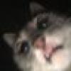 cha cha's avatar cha cha's avatar