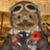 Toddy Furrington's avatar Toddy Furrington's avatar