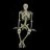 Bones's avatar