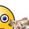 KennectTheDots's avatar KennectTheDots's avatar